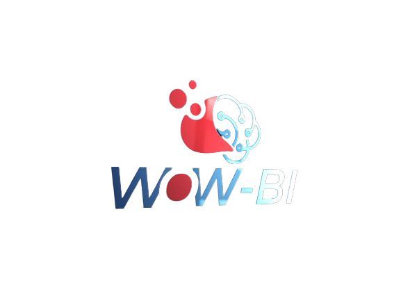 WOW-BI